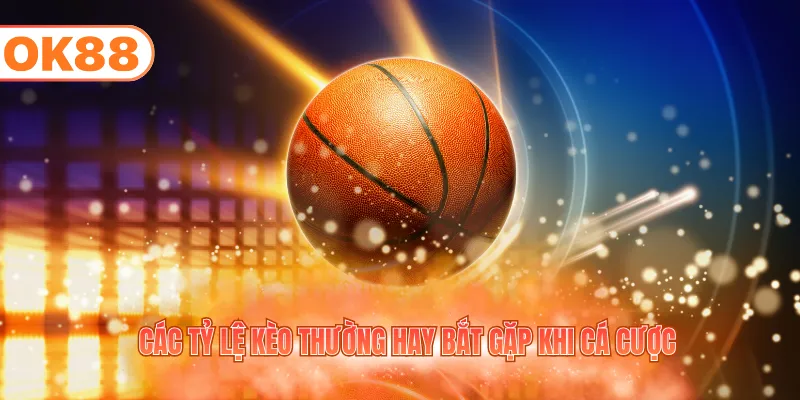 Các tỷ lệ kèo thường hay bắt gặp khi cá cược