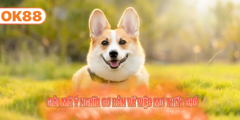 Giải mã ý nghĩa cơ bản về việc mơ thấy chó
