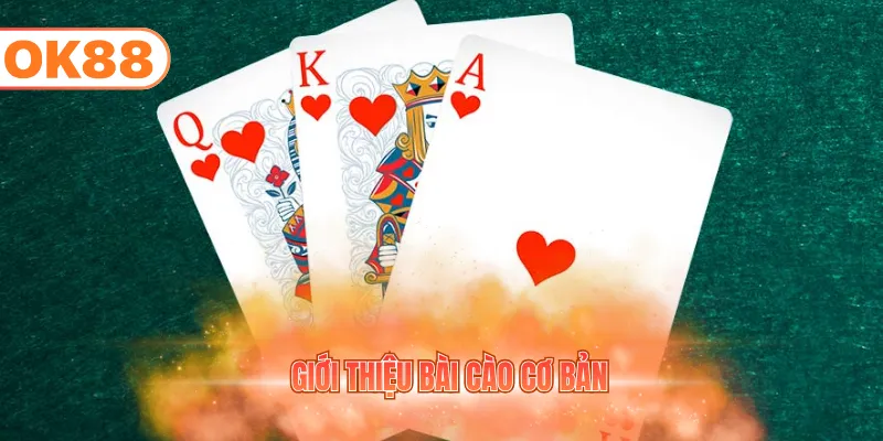 Giới thiệu bài cào cơ bản