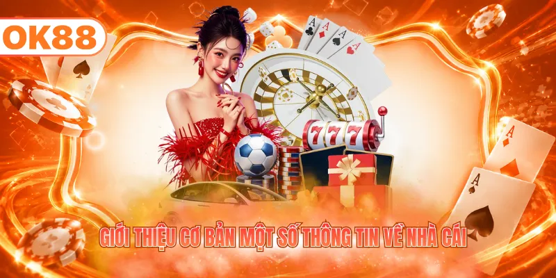Giới thiệu cơ bản một số thông tin về nhà cái