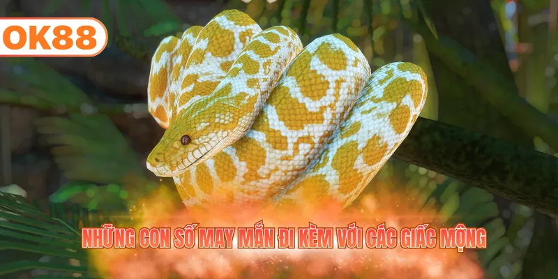 Những con số may mắn đi kèm với các giấc mộng
