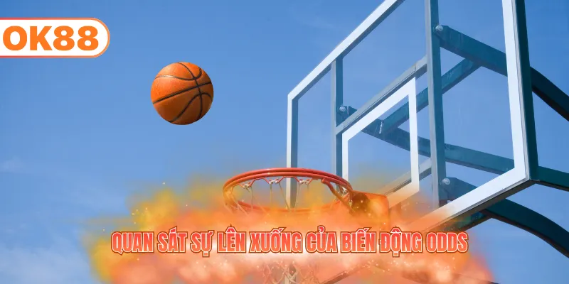 Quan sát sự lên xuống của biến động odds
