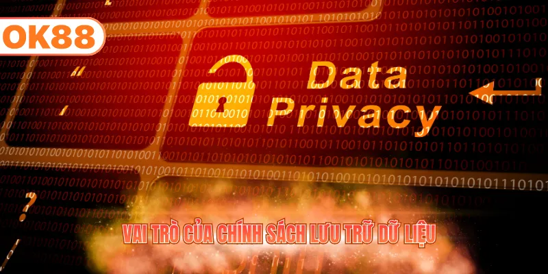 Vai trò của chính sách lưu trữ dữ liệu